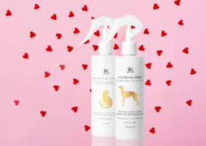 shampoo spray heart shape candies pink background